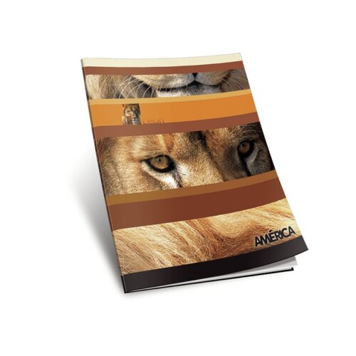 CUADERNO 16X21 AMERICA T/F 48HS RAYADO