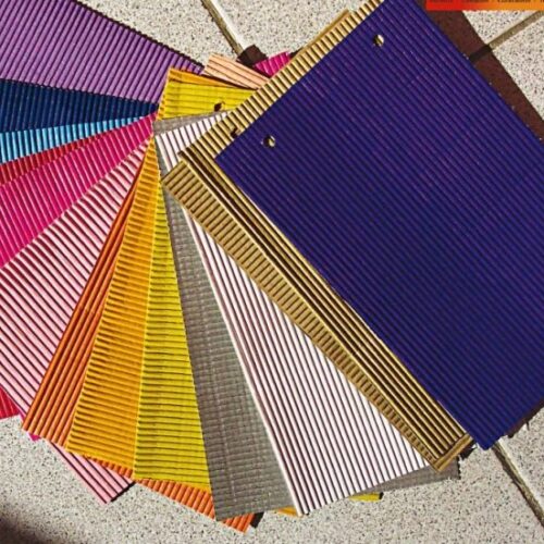CARPETA Nº 5 MICRO COLOR               
