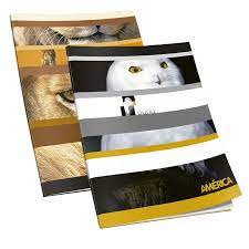 CUADERNO 16X21 AMERICA T/F 24HS RAYADO