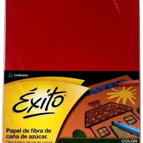 REP. DIBUJO Nº 5 COLOR X 6 HJ LAMA***