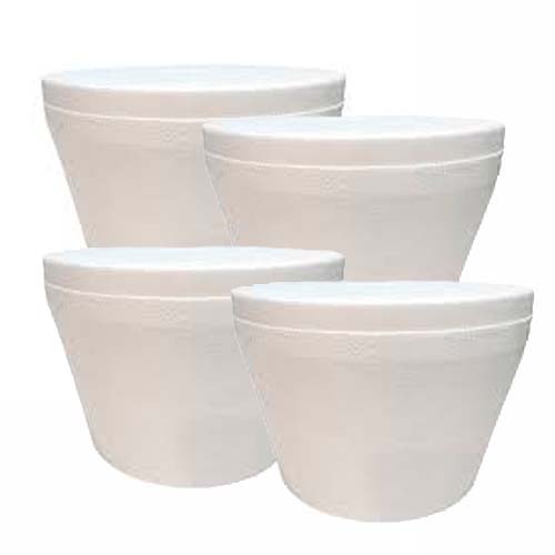 POTE TERMICO PARA HELADO 1KG X 100