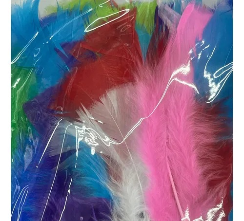 PLUMAS SURTIDAS X 30 UNIDADES