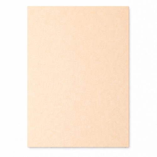 REPUESTO CUADERNO INTELIGENTE A5 X30HJS LISO