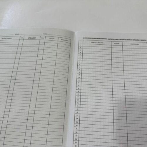 ESPADITAS PARA COPETIN BOLSA X 1000 UNIDADES