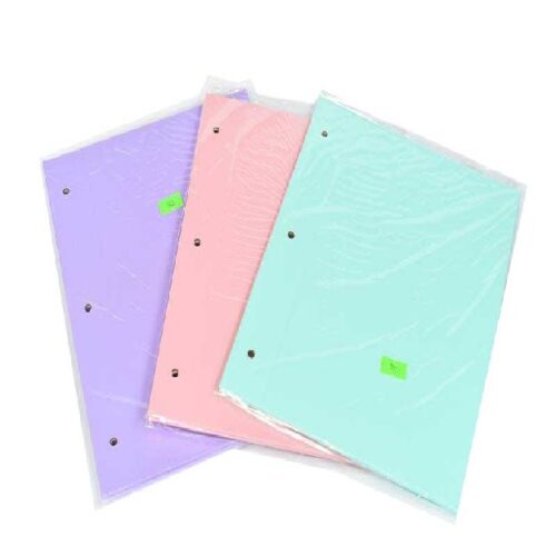 CARPETA Nº 5 CARTONE PASTEL