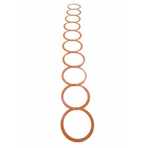 NEW PLAST ESCALERA CON AROS