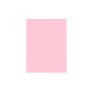 CARTULINA ROSA X UNIDAD