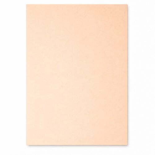 GOMA EVA COLOR PIEL 45 X 60 CM