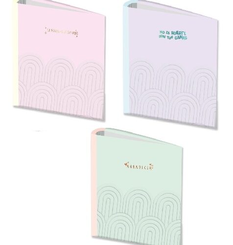 CARPETA 3-A/RED,40 MM CARTONÉ REYSA PASTEL