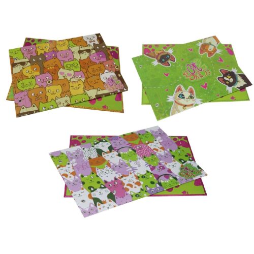 CARPETA Nº 5 CARTONÉ REXON CAT WORLD