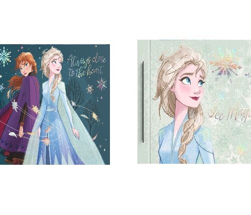 CARPETA Nº 5 CARTONÉ BIG LIFE FROZEN