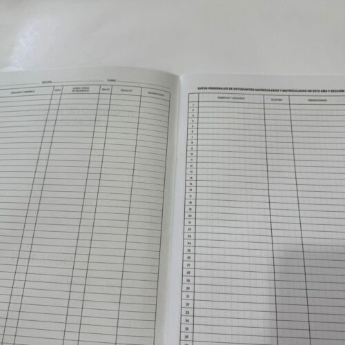 REGISTRO DE ASISTENCIA SECUNDARIO 844B *NUEVO*