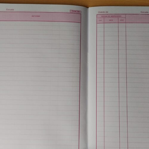 REGISTRO DE INSPECCION 309