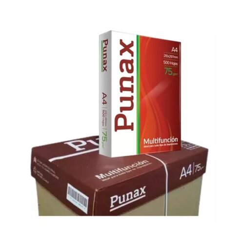 RESMA A4 LEDESMA PUNAX 75GRS. X 10 UNIDADES