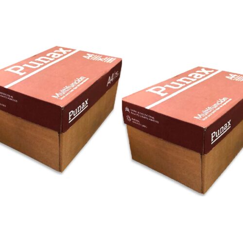 RESMA A4 LEDESMA PUNAX 75GRS. X 20 UNIDADES