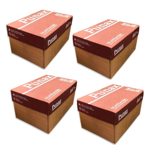 RESMA A4 LEDESMA PUNAX 75GRS. X 40 UNIDADES